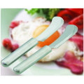 Set/2 Breakfast Knives (SE0604)